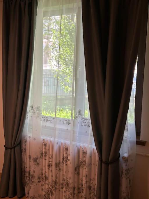 Alea Central Studio Art Museum Craiova Bagian luar foto